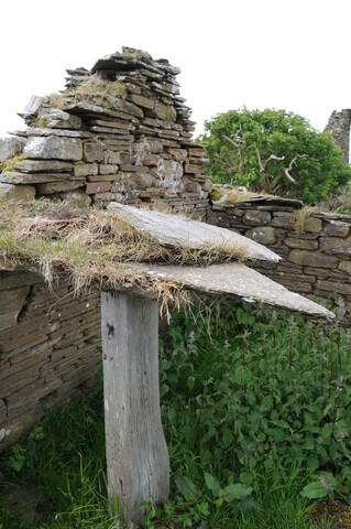 DSC_1516.jpg