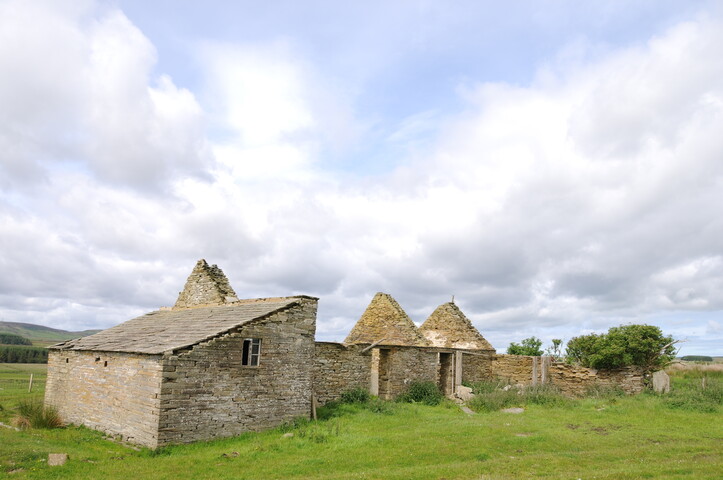 DSC_1518.jpg