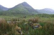 DSC_1274.jpg