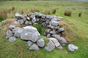 DSC_1278.jpg