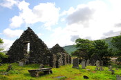 DSC_1325.jpg