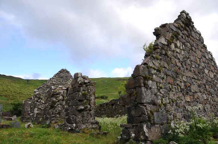 DSC_1330.jpg