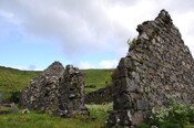DSC_1330.jpg