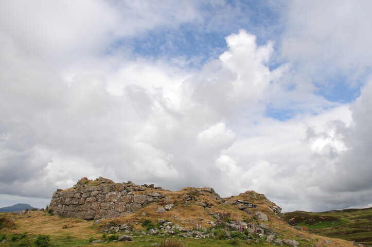 DSC_1363.jpg