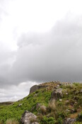 DSC_1370.jpg