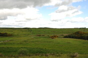 DSC_1633.jpg