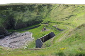DSC_1647.jpg