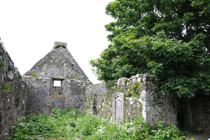 DSC_1409.jpg