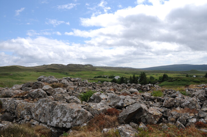 DSC_1454.jpg