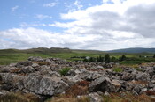DSC_1454.jpg
