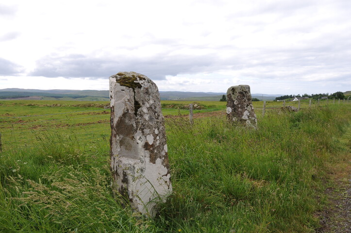 DSC_1479.jpg