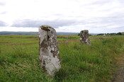 DSC_1479.jpg