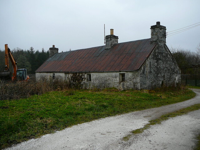 19.JPG