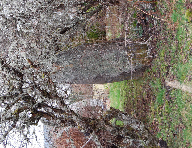 Culburnie 2 largest standing stone.jpg