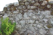 20080708101614_00006.jpg
