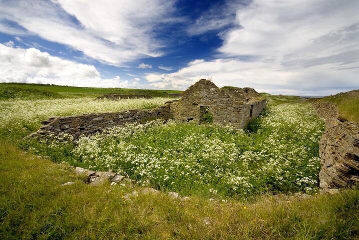 Cottages_3.jpg