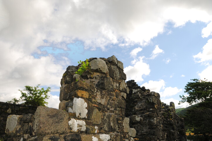 DSC_1334ed.jpg