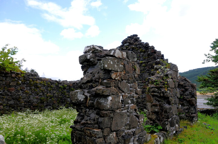 DSC_1328ed.jpg