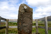 DSC_1458ed.jpg