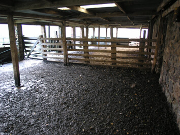 Cottage Lean Too Interior NW.jpg