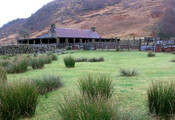Cottage SE.jpg