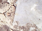 Burnside Hilton 063.avi