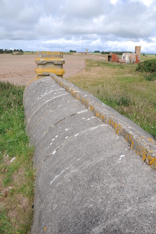 DSC_1707.jpg
