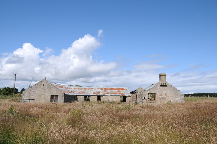 DSC_1741.jpg