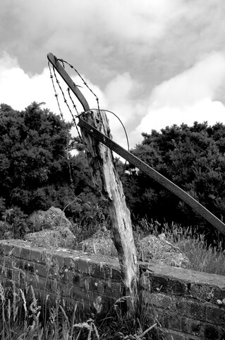 DSC_1713B&W.jpg
