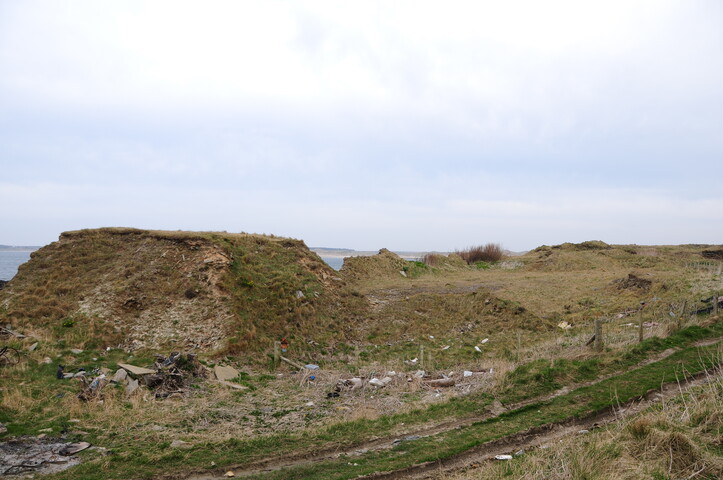 DSC_0894.jpg