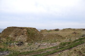 DSC_0894.jpg