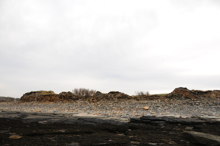 DSC_0904.jpg