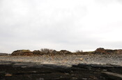 DSC_0904.jpg