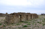 DSC_0891.jpg