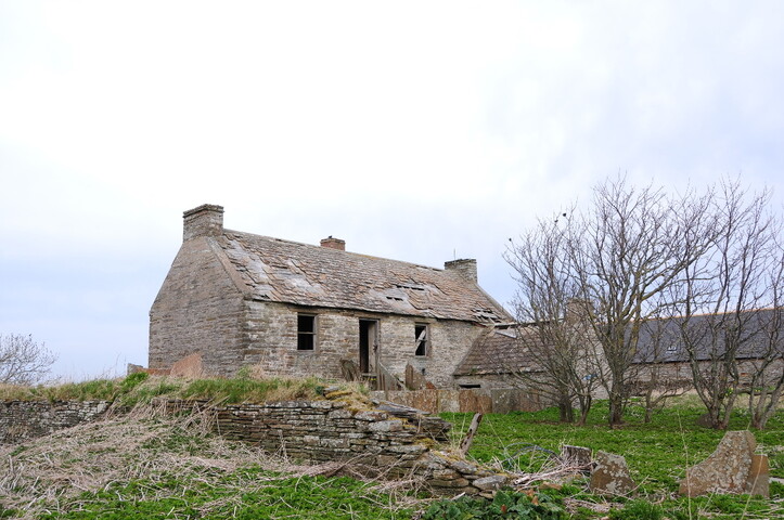 DSC_0911.jpg