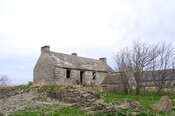 DSC_0911.jpg