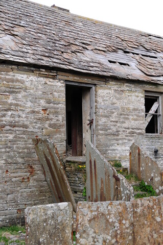 DSC_0912.jpg