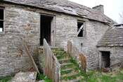 DSC_0913.jpg