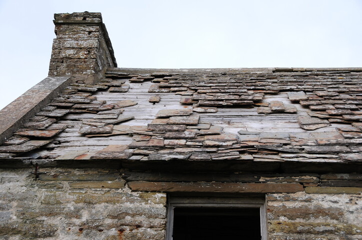 DSC_0914.jpg