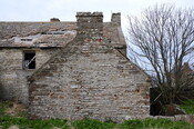 DSC_0917.jpg