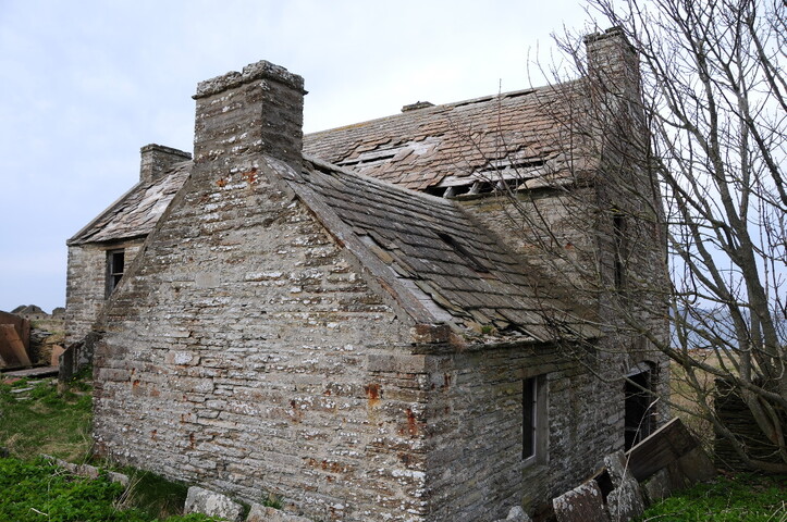 DSC_0918.jpg
