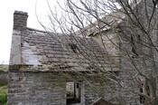 DSC_0919.jpg