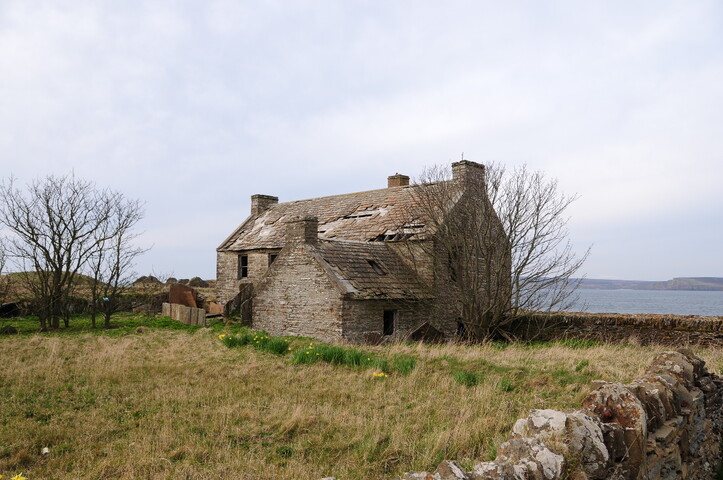 DSC_0922.jpg
