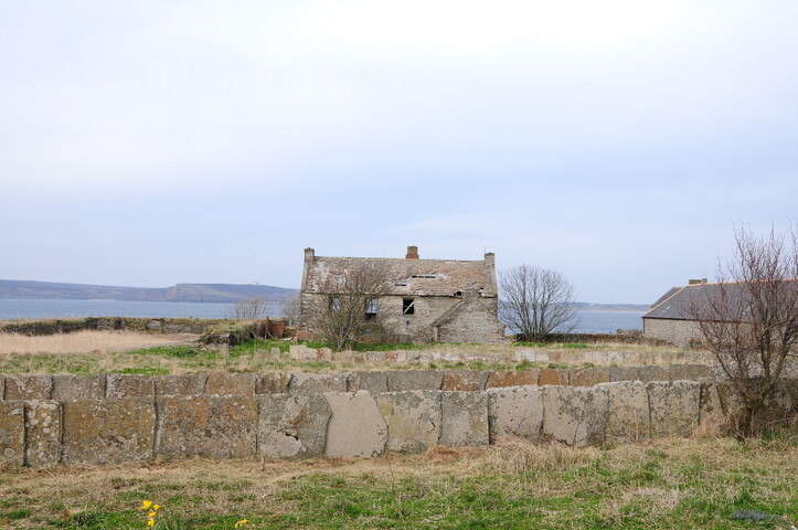 DSC_0925.jpg