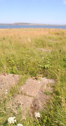 DSC_1910.jpg