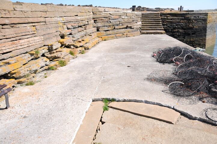 DSC_1856.jpg