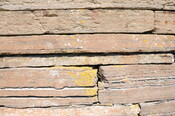 DSC_1857.jpg