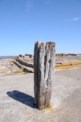 DSC_1860.jpg