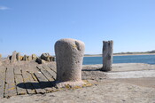 DSC_1861.jpg