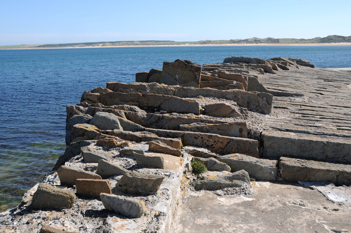 DSC_1864.jpg